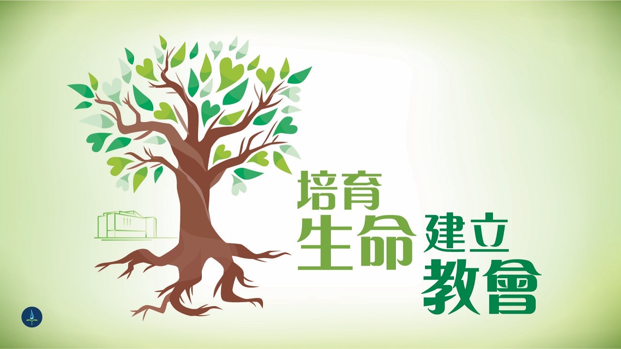 靈命成長筆記 (4) 關顧互建 生命成長 2026-08-02