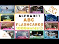 [English] フラッシュカード ABC アルファベット 1,000単語② 2〜5歳 子供向け 英単語 ABC FlashCards for Child from 1000 Dictionary