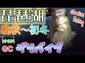 【琵琶湖バス釣り】ザリバイブで夕マズメギリギリのクオリティバスゲット！琵琶湖おかっぱり晩秋から初冬はバイブレーションが激熱！琵琶湖南湖東岸で一誠isseiザリバイブ67が激ハマり！マスゲン岩も見てきた