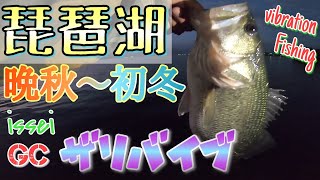 【琵琶湖バス釣り】ザリバイブで夕マズメギリギリのクオリティバスゲット！琵琶湖おかっぱり晩秋から初冬はバイブレーションが激熱！琵琶湖南湖東岸で一誠isseiザリバイブ67が激ハマり！マスゲン岩も見てきた