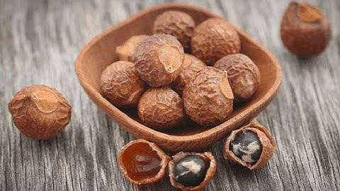 Công dụng thần kỳ của quả bồ hòn an toàn cho sức khỏe / Hệ thống chăm sóc sức khỏe tự động