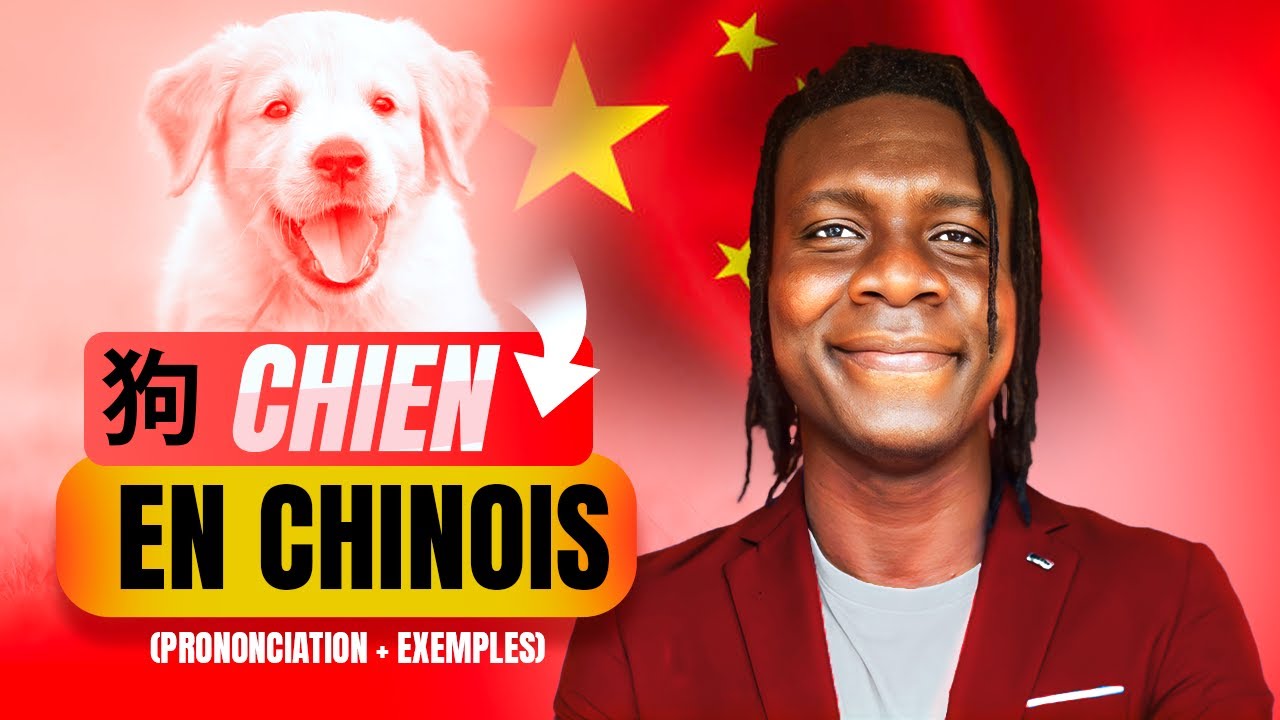 Apprends à dire “chien” en chinois : 狗 (prononciation + exemples)