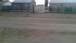 Details Zweli Update