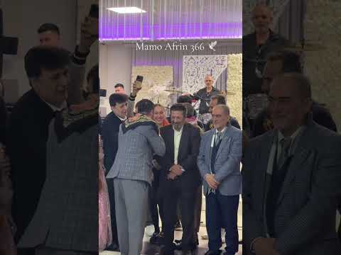 عفوية مع الفنان بانكين عفريني