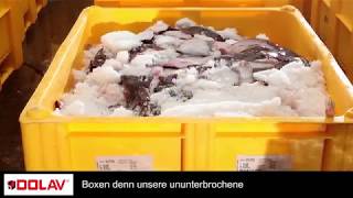 Mehr Inhaltslast, weniger Tara und weniger Kosten mit der DOLAV ACE