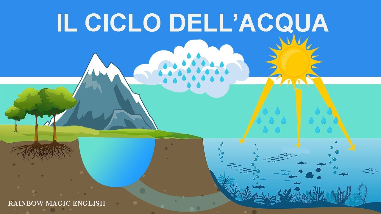 Il ciclo dell'acqua