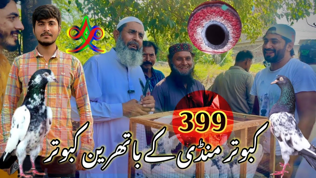 399) Lahore lari ada kabootar mandi || کبوتر منڈی || #amjadaliofficial #pigeons #kabootar