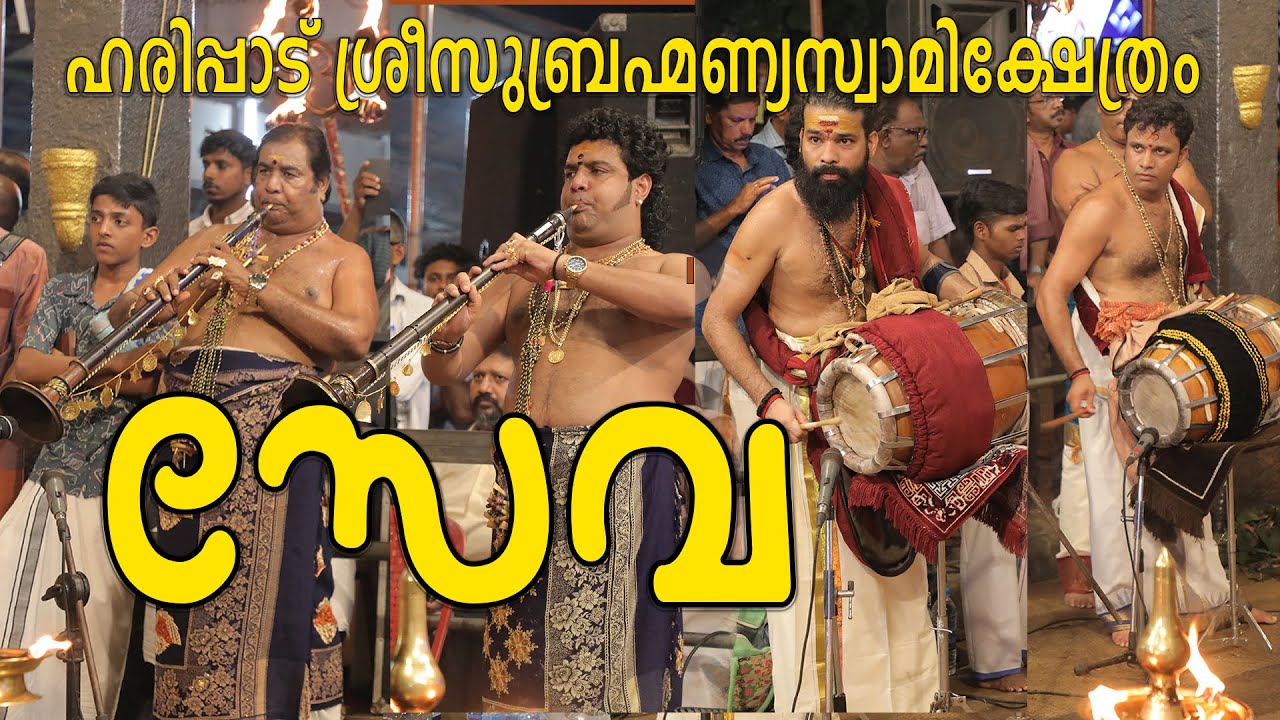 സേവ ഒൻപതാം ഉത്സവം|ഹരിപ്പാട് ക്ഷേത്രം Nadaswaram  Seva 2024#HARIPAD SREE SUBRAHMANYA SWAMY TEMPLE