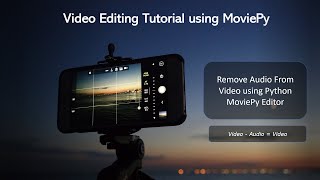 Remove Audio From Video using Python MoviePy Editor || Mute the Audio in the Video || Purge Audio