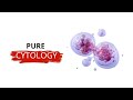 CYTOLOGY : All ORGANELLAS Explained In 1min