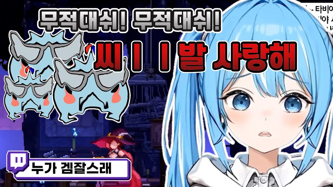 뿡댕이들을 미치게 만든 정타비