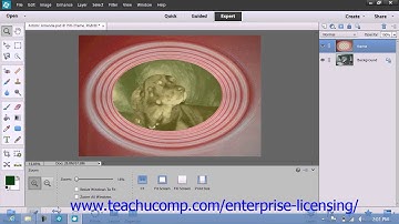 Adobe Photoshop Elements 12 Tutorial Layers Employee Group Training  10.8