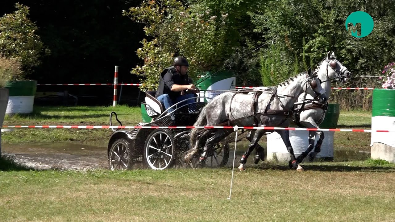 Districtskampioenschappen Zuid Mennen DIO