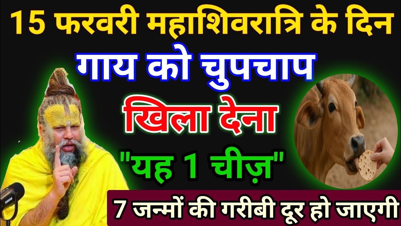 महाशिवरात्रि के दिन चुपचाप गाय को खिला देना, यह 1 छोटी सी चीज मालामाल हो जाओगे #premanandjimaharaj