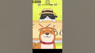 Hide and seek cat escape game level 186 best gameplay #youtubeshorts #shortsfeed #zubi #zubigaming