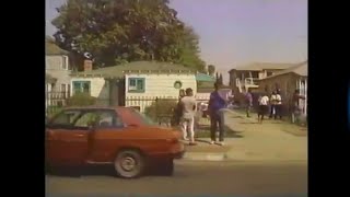 GANG VIOLENCE ☆ (1980s)