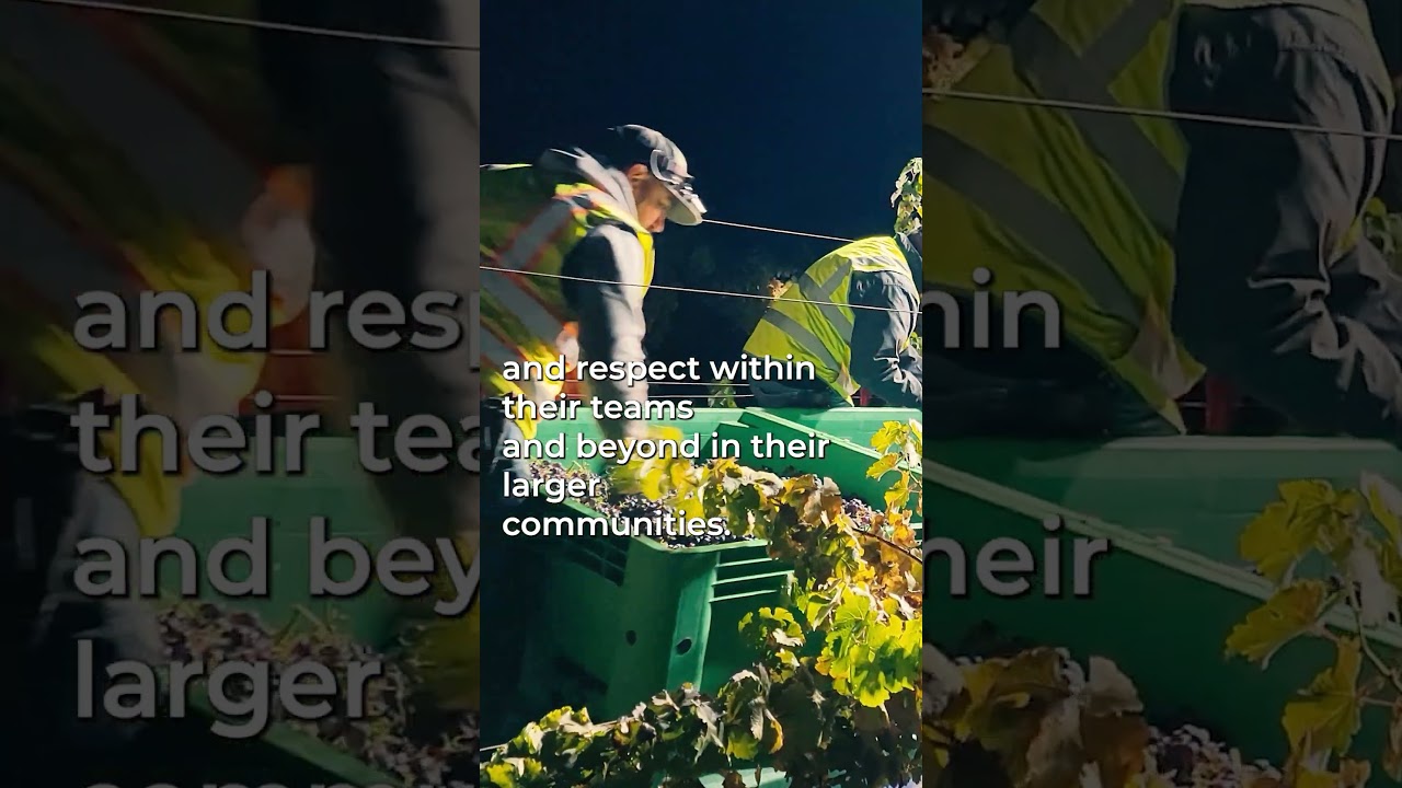 Can Wine Save The Planet a Documentary Project Teaser