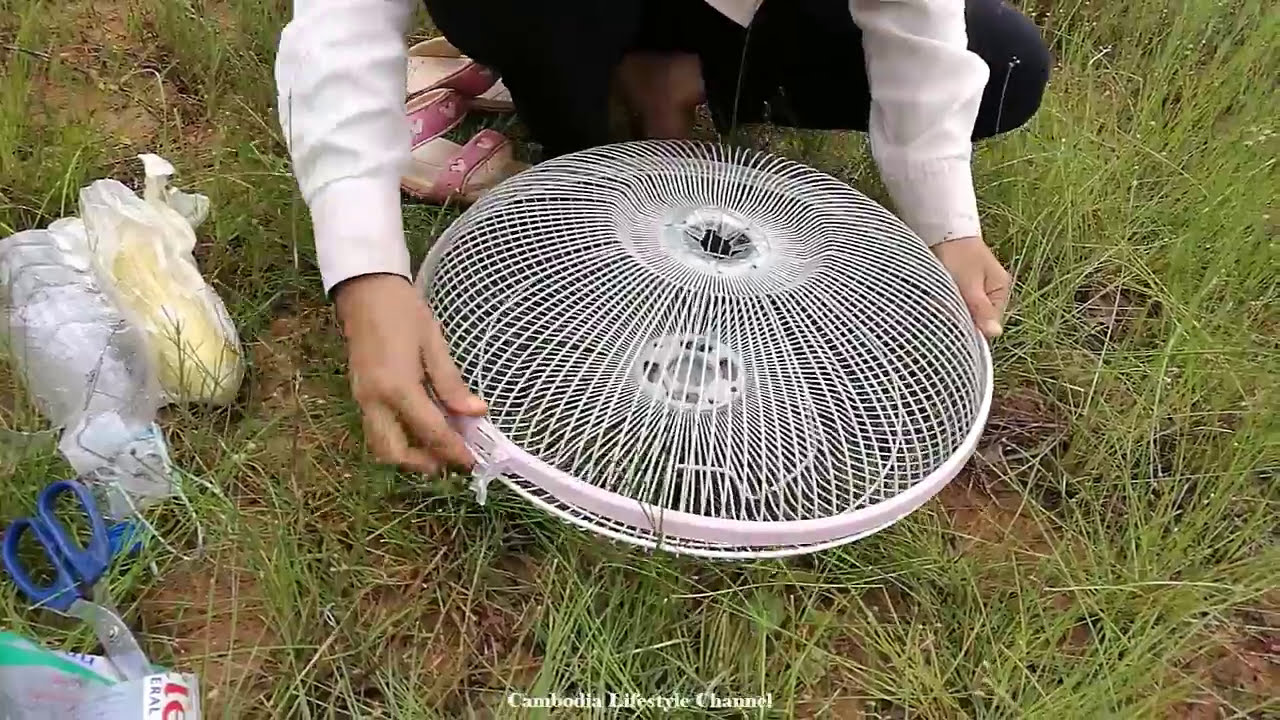 Amazing girl Fishing using Electric Fan Guard fish Trap - Net Fishing in the River
