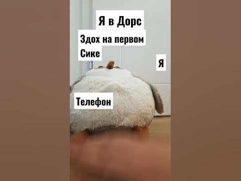 мем про дорс - YouTube