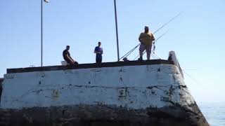 20180629 Port William 03 1