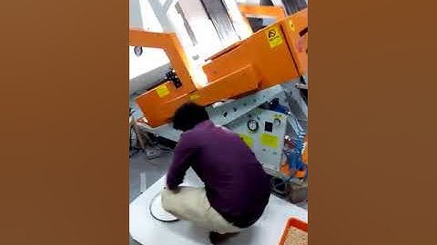 Dry mutter/ Dry Peas Sorting from Orange Sorting Machines (India) Private Limited