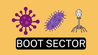 [Hindi] What is Boot Sector Virus - Boot Sector Viruses Simply Explained