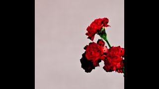 John Legend - Who Do We Think We Are