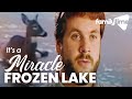 Wild Deer Stuck On A Frozen Lake! | It&#39;s A Miracle