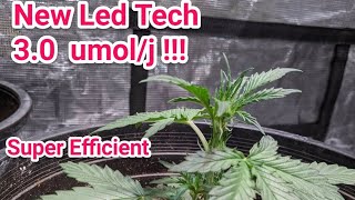 AUTOFLOWER CANNABIS UPDATE AND NEW LED TECHNOLOGY FOR HORTICULTURE - SLIM 600H 3.0 UMOL/J NEWS
