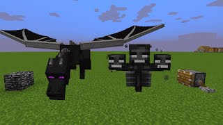 Wither Ender Dragon ???