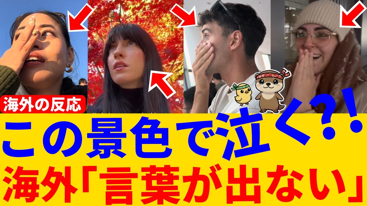 「“ただ景色を見てただけ”日本で感情が崩れた外国人」