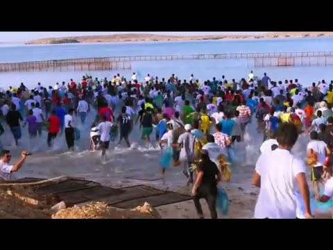 مهرجان سمك الحريد في جزيرة فرسان بمنطقة جازان Youtube