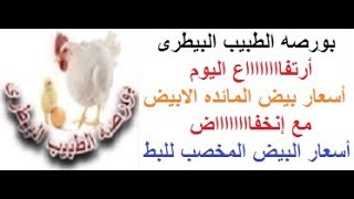 أسعار البيض اليوم السبت 25/ 9/ 2021 ( بورصه الطبيب البيطرى )