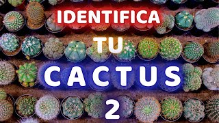 NOMBRES DE CACTUS MAS DIFICULTAD DE CUIDADOS -FACIL Ó DIFICIL || CRECIMIENTO LENTO Ó RAPIDO # 2