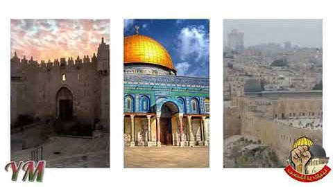 102  سورة  التكاثر القارئ سعد الغامدي