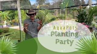 Tropical Container Planting! - Tag along for this fun planting party!!