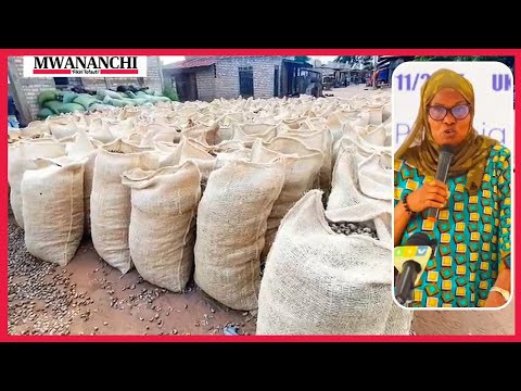 KOROSHO ZISIZO NA UBORA KUTEKETEZWA LINDI