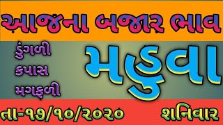# મહુવા _બજારભાવ#commodity_mahua₹commodity price 17.10.2020 mahua marketing yard na bhav/bjar bhav
