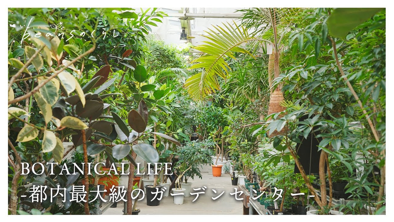 緑に包まれる空間...都内最大級の園芸店オザキフラワーパーク｜東京｜練馬