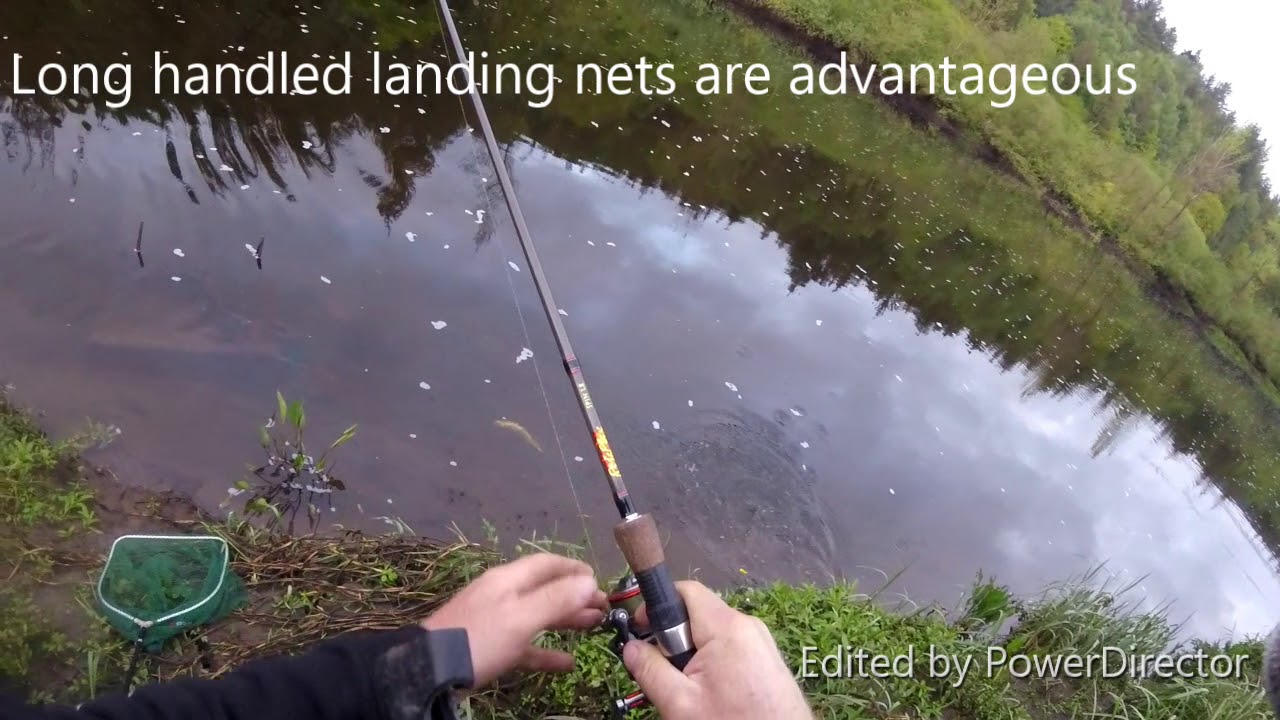 shad angling on the River Barrow
