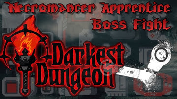 Darkest Dungeon BOSS Fight, Necromancer Apprentice [Very Easy]