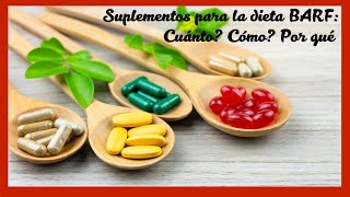 Suplementos alimenticios para perros y gatos, por qué?