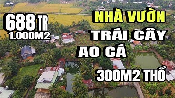 Đã bán) chị trinh nợ ngân hàng, bán gấp nhà vườn, trái cây, ao cá, view đồng lúa, Cẩm Mỹ Đồng Nai