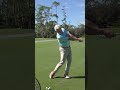 Right Arm in the Golf Swing