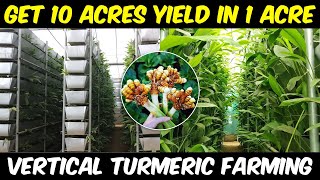 Vertical TURMERIC FARMING | Get 10 Acres yield in 1 Acre Land | Soil based Vertical Farming