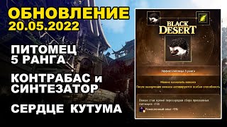 🔔 ПЕТ 5 РАНГА ♦ СЕРДЦЕ КУТУМА + КОРЕЯ ♦ БДО Обновление 29.06 (BDO-Black Desert)