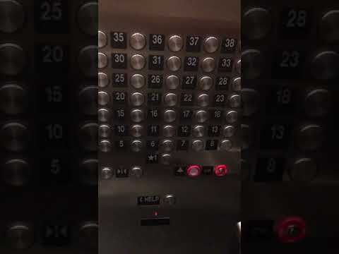 IMG 0519