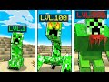 MINECRAFT MA PUOI EVOLVERTI ALL'INFINITO!
