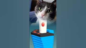 cute cat playing stack ball level 127 #cat #stackball #cuteanimal #games #funny #cutecat