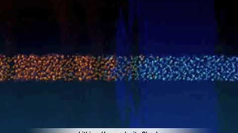 Electron Force Field for Non-adiabatic Dynamics